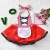 2022 Children's Clothing New Performance Costume Girls' Cloak Little Maid Little Red Riding Hood Cosplay Party Girl Suit