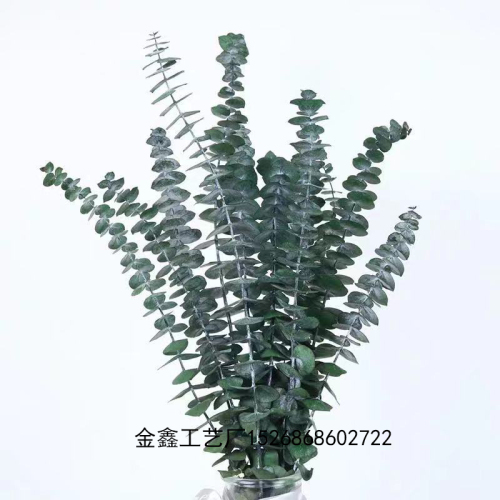 lobular eucalyptus dried flower eternal flower wedding bouquet eucalyptus cotton garland material diy bouquet flower material