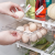 Fenghuai Kitchen Refrigerator Storage Box Drawer Crisper with Grid Special Egg Food for Refrigerator Finishing Box