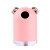 Tik Tok New Mini Adorable Pet Humidifier Household Desk Car Mute USB Display Frequency Humidifier
