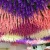 Artificial Wisteria Fake Flower Violet Ceiling HANAFUJI Encryption Indoor Wedding Celebration Decoration Rattan Plastic Vine Plant