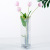 Nordic Simple Transparent Glass Phnom Penh Geometric Triangle Vase Green Dill Plant Transparent Glass Flower Arrangement Container