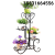 Multi-Layer Iron Flower Stand European-Style Iron Flower Stand Floor-Standing Balcony Jardiniere Living Room Simple Scindapsus Shelf