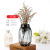 Light Luxury Vase Nordic Glass Vase Living Room Flower Arrangement Decoration Lucky Bamboo Dried Flower Simple Net Red Large Vase