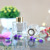 Aromatherapy Bottles Transparent Glass