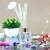 Aromatherapy Bottles Transparent Glass