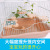 Wooden Cool Pad Springboard Cool Blanket Dual-Purpose Hamster Djungarian Hamster Pedal Small Animal Cooling Plate Cool and Refreshing Heating Pane