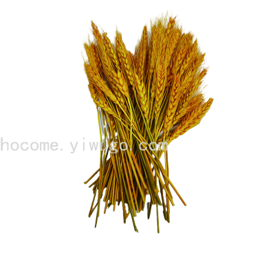 Customized Various Colors Wheat Golden Yellow Wheat Accessories Straw Accessories Simulation Wheat Wheat