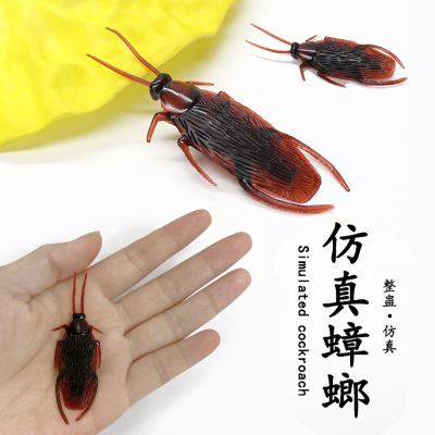 Factory Direct Sales Spoof Toy Simulation Cockroach Children's Toy April Fool's Day Toy Xiaoqiang Fake Cockroach Wholesale