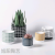 Cement Nordic Style Lattice Bonsai Simple and Stylish Personality Plant Pot