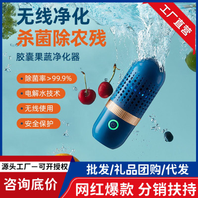 Intelligent Fruit and Vegetable Purifier Fruit and Vegetable Disinfection Machine Supply Portable Household Fruit and 