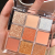 Dikalu Makeup Acrylic Eye Shadow Plate Transparent 9 Color Eye Shadow Shimmer Matte TikTok Same Style Earth Tone Eyeshadow