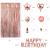 Cross-Border Rose Gold Rain Silk Birthday Balloon Package Aluminum Film Birthday Letter Balloon Tinsel Curtain Tassel Paper Scrap Balloon