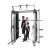 Commercial Counter Balanced Smith Machine Small Birds