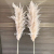 90-150cm Pampas Grass Extra Large Natural White Grey Dried Flower Bouquet Fluffy for Boho Vintage Home Wedding Flower De