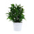 Factory Wholesale Simulation Green Plant Shooting Props Home Decorative Bonsai Decoration Home Plastic Props