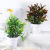 Factory Wholesale Simulation Green Plant Shooting Props Home Decorative Bonsai Decoration Home Plastic Props