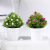 Artificial Plant Flower Pot Indoor Living Room Decoration Artificial Plant Decoration Artificial Greenery and Fake Flowers Bonsai