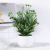 Simulation Fern Words Plants Green Plants Potted Indoor Living Room Artificial Bonsai Floor Ornaments Factory in Stock Wholesale