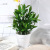 Factory Wholesale Simulation Green Plant Shooting Props Home Decorative Bonsai Decoration Home Plastic Props