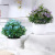 New Style Artificial Plant Flower Plastic Bonsai Home Front Desk Creative Artificial Flowers Decoration Artificial Plant Pot