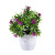 In Stock Wholesale Plastic Artificial Flower Bonsai Creative Home Desktop Artificial Flowers Decoration Simulation Plant Pot