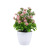 Artificial Flower Potted Decoration Artificial Plant Flower Pot Creative Home Desktop Living Room Decoration Artificial Plant Decoration