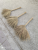 Lespedeza Cuneata, Gold Broom, Iron Broom, Gold Broom, Small Broom