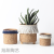 Nordic Modern Simple Retro Style Knitted Basket Breathable Succulents Potted Indoor Creative Cement Flower Pot