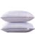 Buckwheat Pillow Pillow Core Five-Star Hotel Buckwheat Hull Dual-Use Cervical Pillow Insert Gift Pillow Delivery