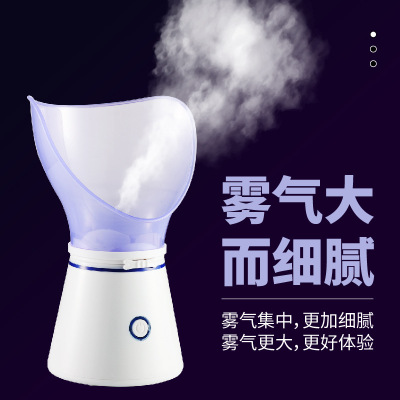 Steam Sprayer Thermal Spray Hydrating Instrument Domestic Beauty Apparatus Fruit and Vegetable Facial Vaporizer Humidifier