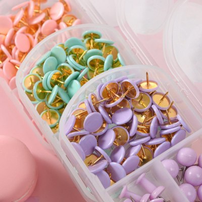 Creative Macaron Color Drawing Pin Corkboard Push Pin Wall Nail Push Pin Kindergarten Photo Wall Boxed Combination Wholesale