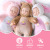 Yasini Sleep Comfort Doll Baby Princess Simulation Plush Talking Blink Sleeping Doll Toy Gift