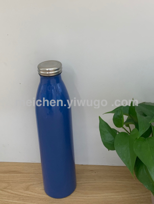 Fashion Brand Stainless Steel Thermos Cup Sports Kettle