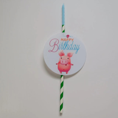Big Ears Lucky Little Pig Children Adult Children Happy Birthday Retro Photography Props with Candles