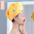 Hair-Drying Cap Foreign Trade Exclusive Supply