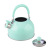 Thick Stainless Steel 5L Kettle Sound Color Hemisphere Flat Bottom Induction Cooker Kettle Water Pot