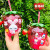 Cute Transparent Strawberry Cup Cup with Straw Children's Disposable Plastic Cup Milk Tea Fruit Cup Portable Water Cup