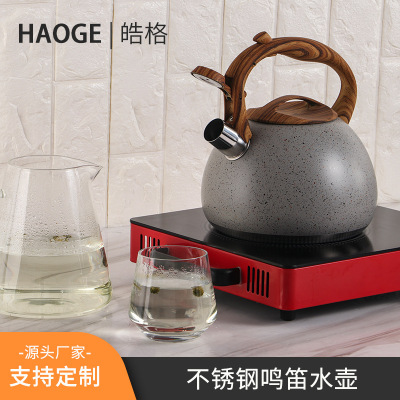 Stainless Steel Whistle Kettle 3 Liter Stainless Steel Sound Kettle Induction Cooker Large Capacity Water Pot Kettle