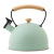 New Spray Color Sound Kettle Amazon Cross-Border Wooden Handle Whistle Water Pot Restaurant Exquisite Kettle