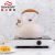 New Folding Handle Sound Kettle Wholesale Amazon Cross-Border Kitchenware Whistling Kettle Coffee Whistle Pot