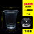 Express Disposable Cup Pp Blister Cup Bubble Milk Tea Cup Juice Cup Transparent Plastic Cup with Lid