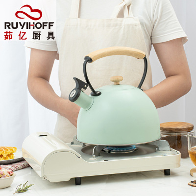 New Spray Color Sound Kettle Amazon Cross-Border Wooden Handle Whistle Water Pot Restaurant Exquisite Kettle