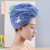 Hair-Drying Cap Foreign Trade Exclusive Supply