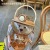 Influencer Cute Bear Water Cup Large Capacity Goodlooking Girls' Cup Portable Children 'S Straw Cup Summer Kettle Whole