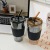 Northern Lights Glass Large Capacity with Lid Ins Style Milk Tea Straw Water Cup Breakfast Cup Coffee Cup Student Cup