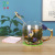 Enamel Cup Glass Girls Scented Tea Cup Household Coffee Cup Thick Heat-Resistant Crystal Glass Tea Cup Wholesale