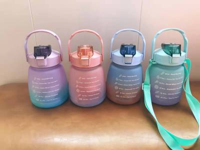 Water Cup Female Goodlooking Children Student Kettle Straw Cup Plastic Cute Internet Celebrity Big Belly Cup Color Spray