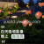 Outdoor Solar Festive Lantern Rose 3 Heads 5 Heads Garden Lamp Floor Outlet Lawn Lamp Landscape