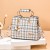 Fashion Plaid Cross-Border Trendy Women Bags Factory Wholesale Handbag Shoulder Messenger Bag Fashion bag